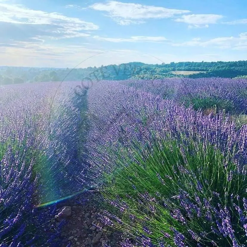 Cote Verdon 1 Quinson Hébergement de vacances